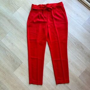 Express pleated dress pants